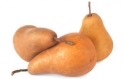 Pears Bosc